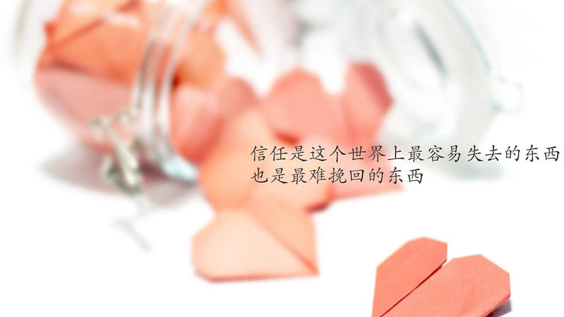 黑马逆袭!福克斯惊天50+神迹撕碎湖人,奇才主场见证生涯之夜