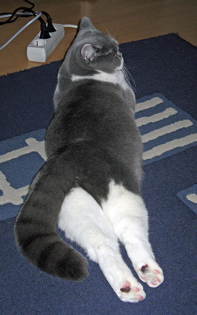 沉默的指挥家,皮克,欧冠之夜攻防转换的唯一密钥