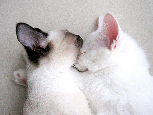 虚幻剧场里的真实桑巴，内马尔单骑戏红魔