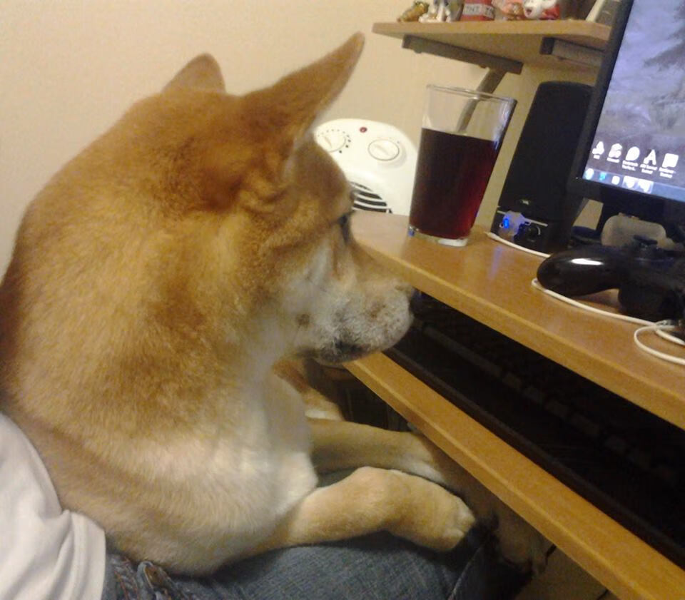 一箭穿心!拉梅洛绝杀弑旧主,公牛打穿国王迎蜕变