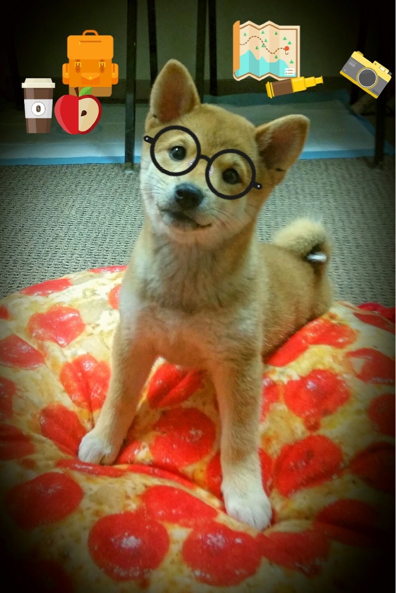 中场枢纽与战术熔炉,巴雷拉的掌控力与勒沃库森的跨洲鏖战