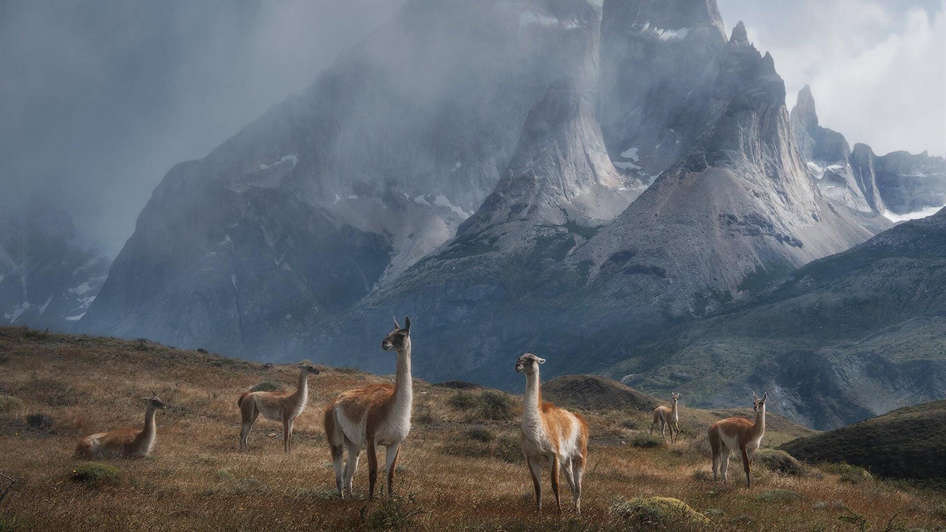 悬念的消亡，当布伦森提前杀死比赛，而开拓者却掌控了结局的舞台