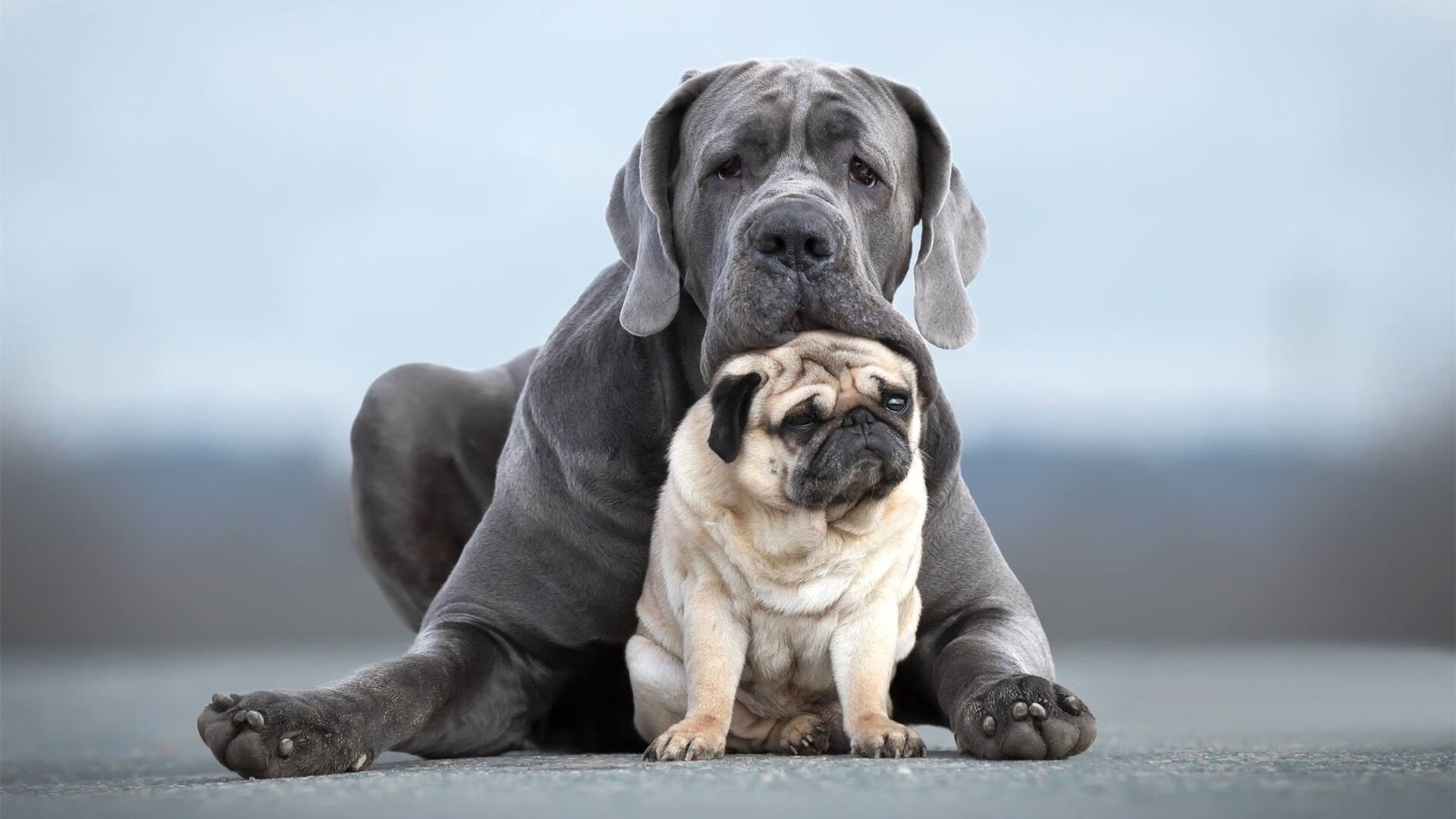 命运的哨声，那个改变两个世界的绝杀之夜