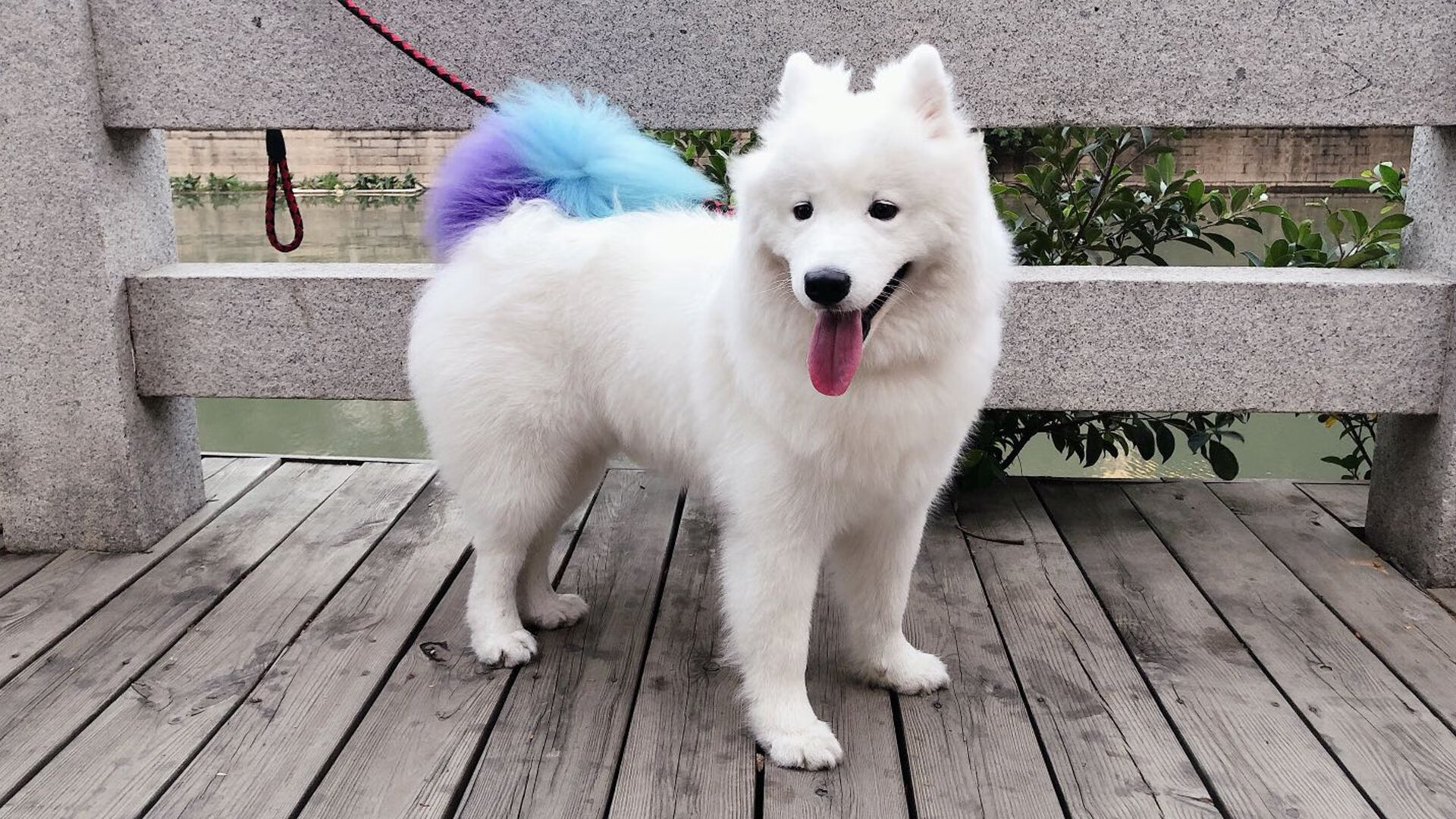 时钟的裂缝，范戴克的救赎与瑞典的翻盘之间