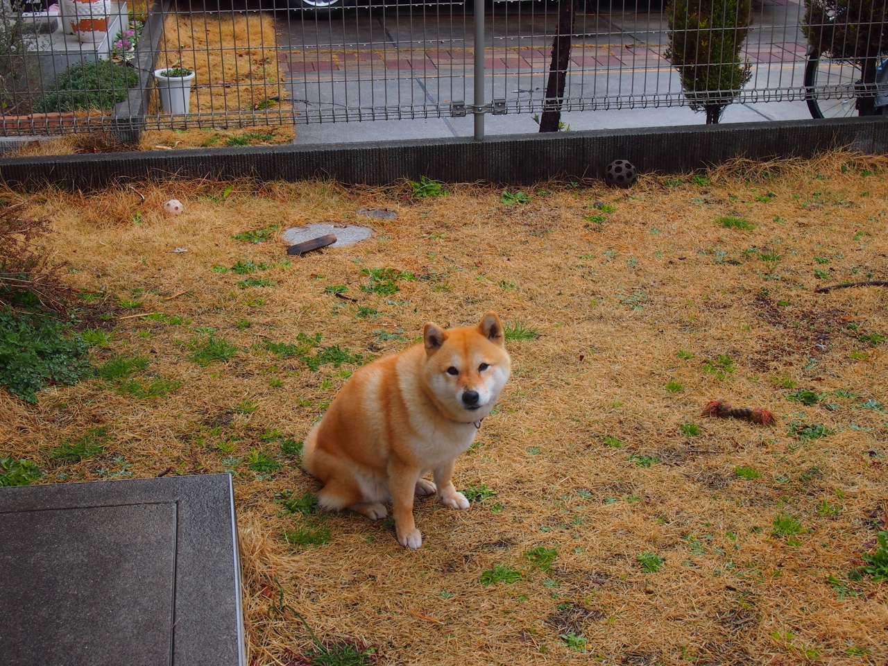 2019东决G3，伦纳德绝境中托起猛龙，一场定义冠军基因的窒息之战