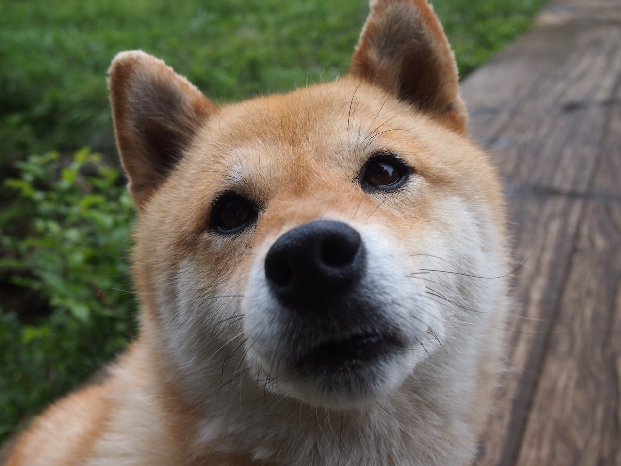 沉静风暴眼，阿森纳用窒息节奏淹没切尔西，沉默的斯通斯如何成为胜负密码？