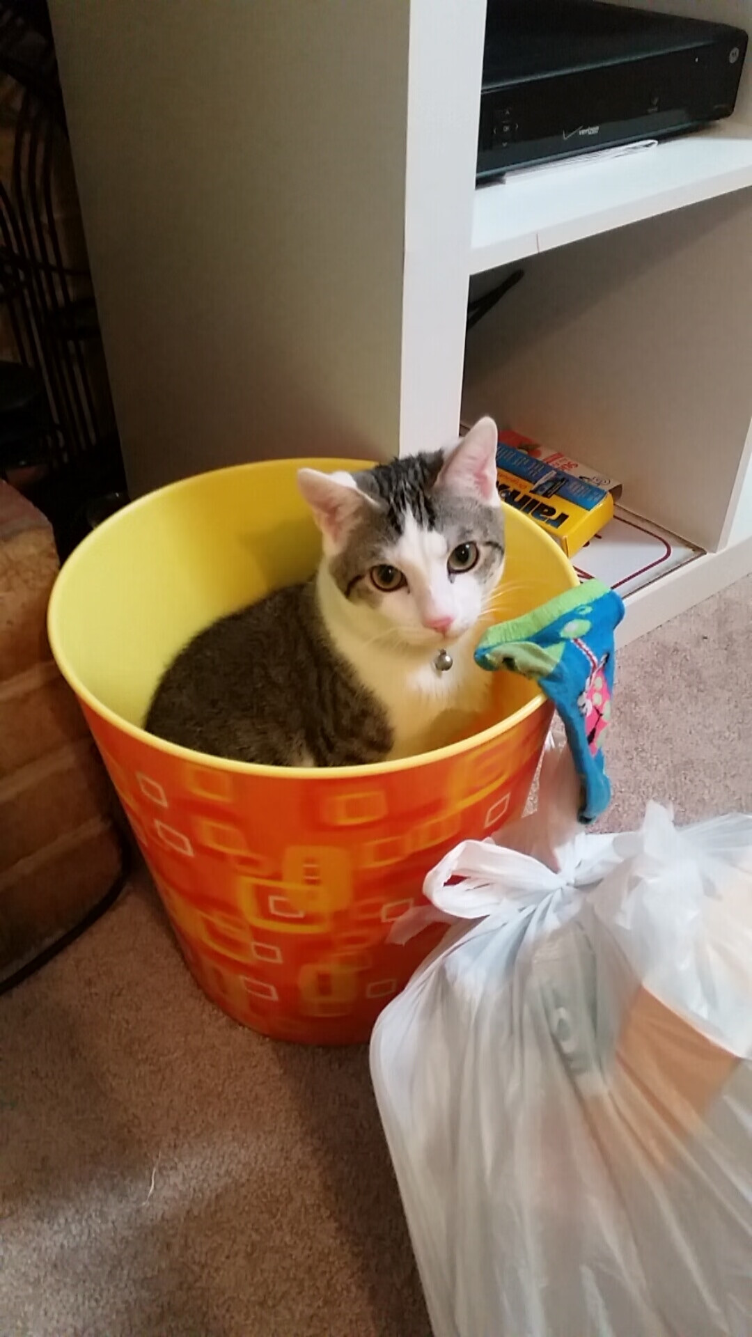 双线狂飙，皇马正面击溃巴西，拉什福德在F1巴林站上演跨界统治