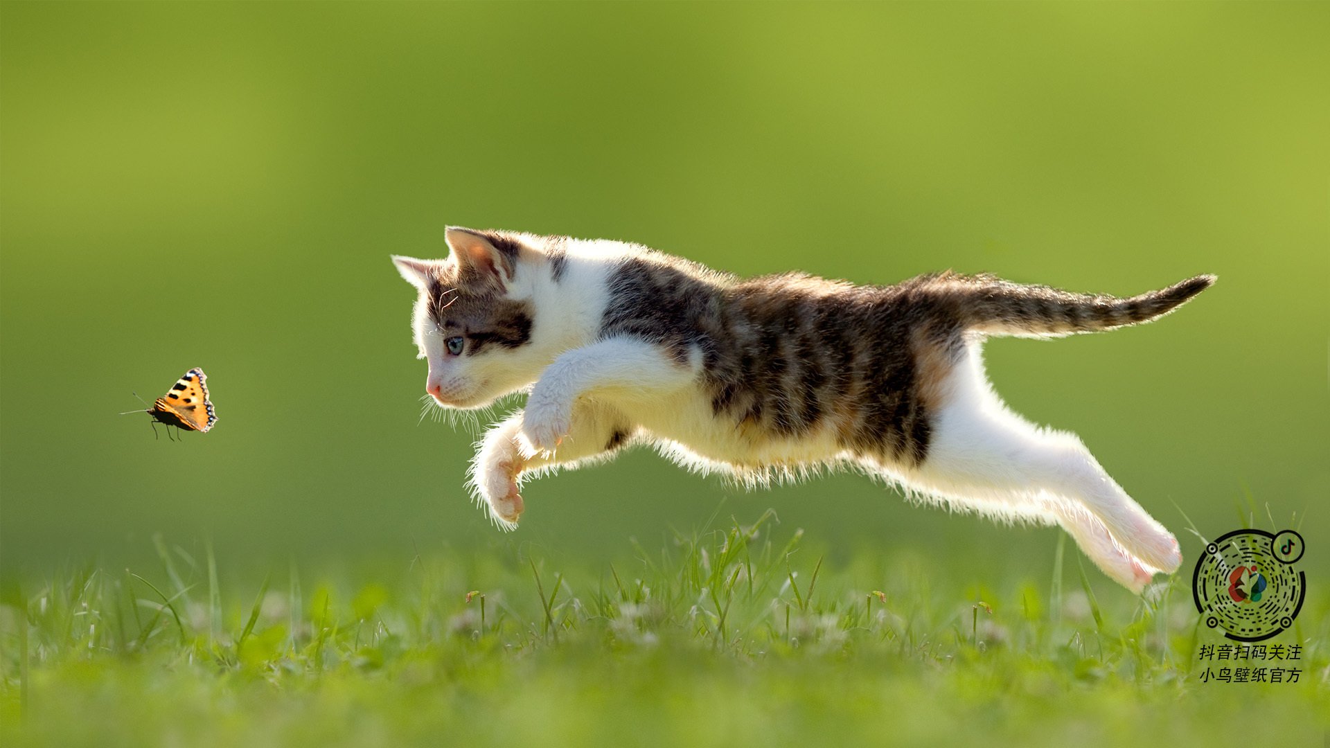 跨界启示，哥斯达黎加淘汰赛过关阿森纳的团队哲学，与帕尔默欧冠决赛接管的个人英雄主义