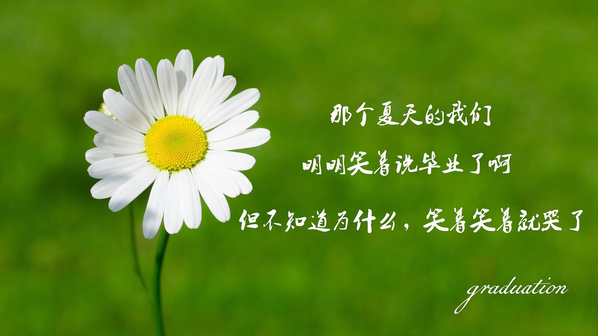 血洗布达佩斯，齐耶赫的归化复仇记，匈牙利7-0碾碎斯洛伐克，2026世界杯关键战定乾坤