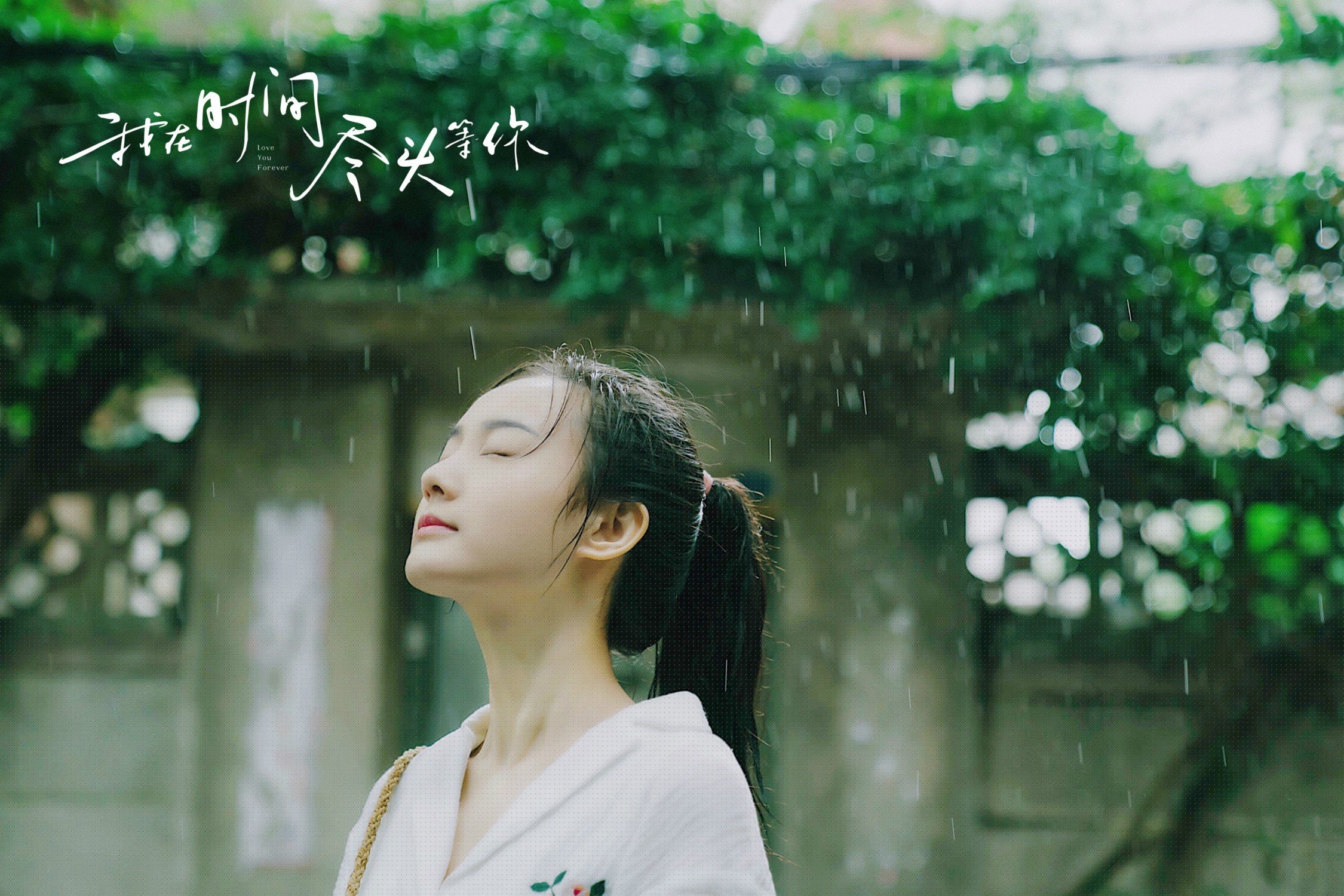 玫瑰与烟火的狂想曲,2026世界杯,当越南闪电撕裂丹麦长城,梅西在神坛上加冕