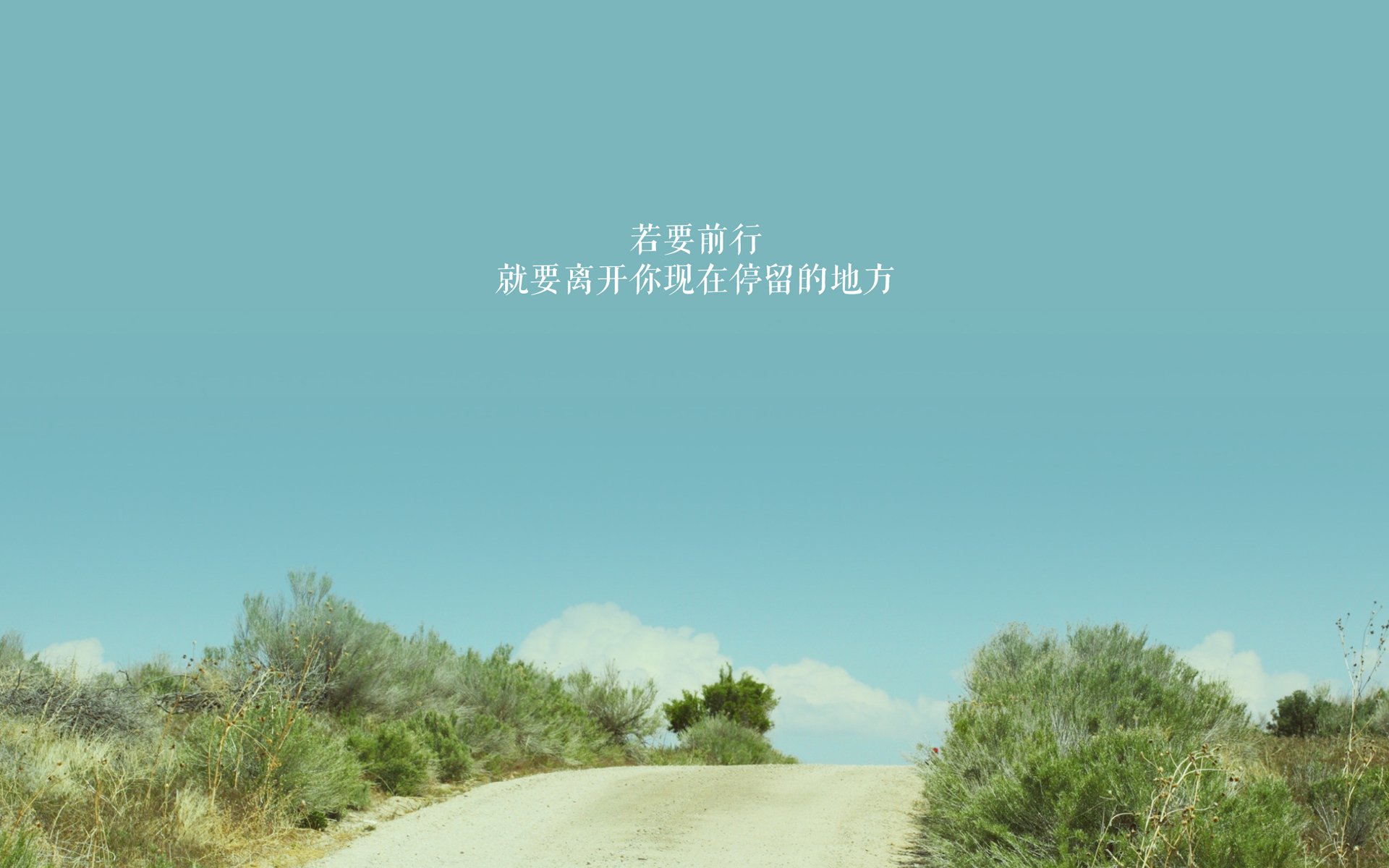 白狼啸月，中亚铁骑破巴格达，罗德里戈归化之王加冕，乌兹别克斯坦撕裂F组格局