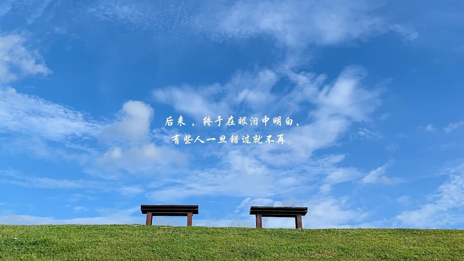 唯一的光,2026世界杯H组,孙兴慜与韩国中场铸就的不可复刻之夜